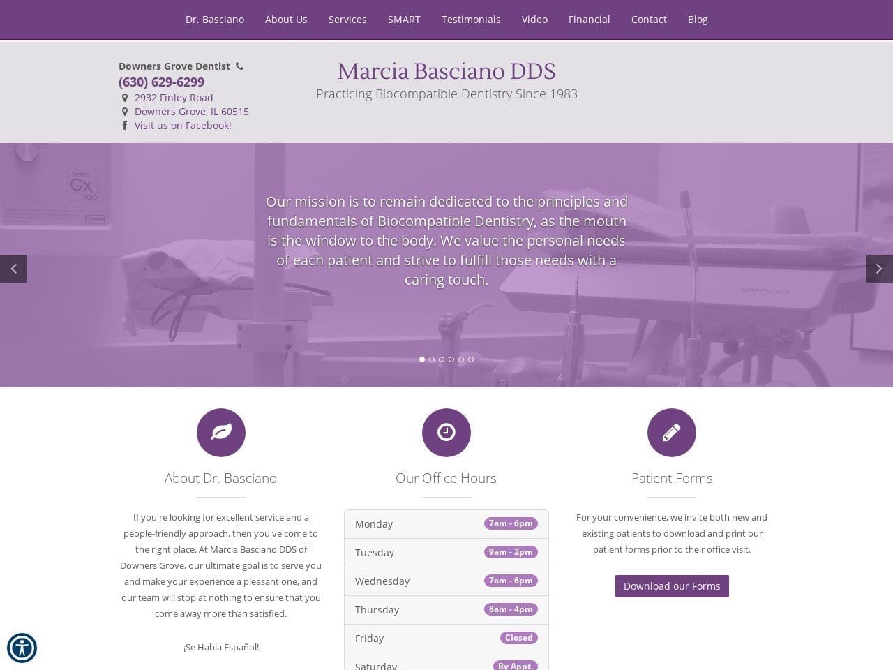 Basciano Dentist Website Screenshot from dentalwellnesschicago.com