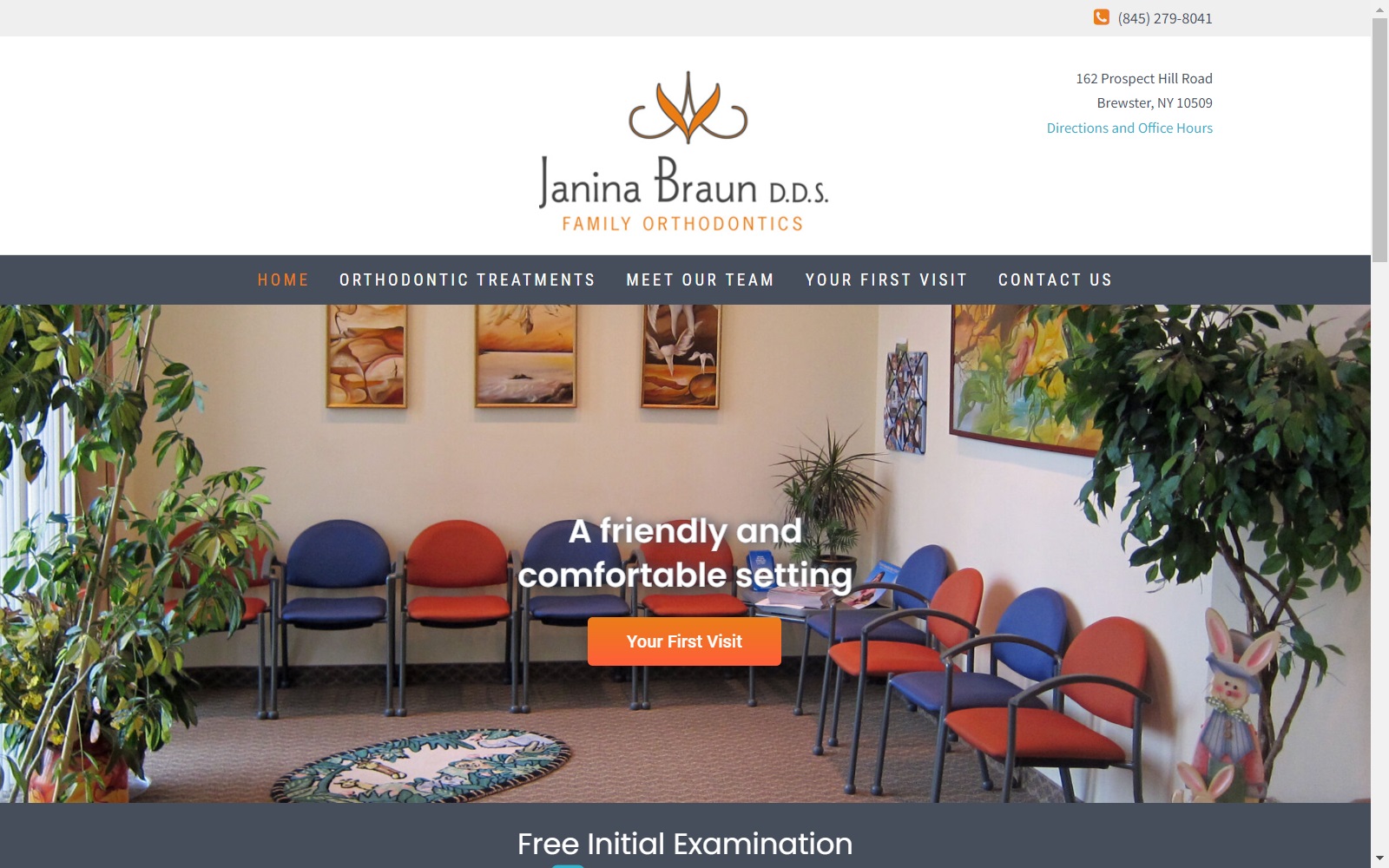 drbraundds.com screenshot
