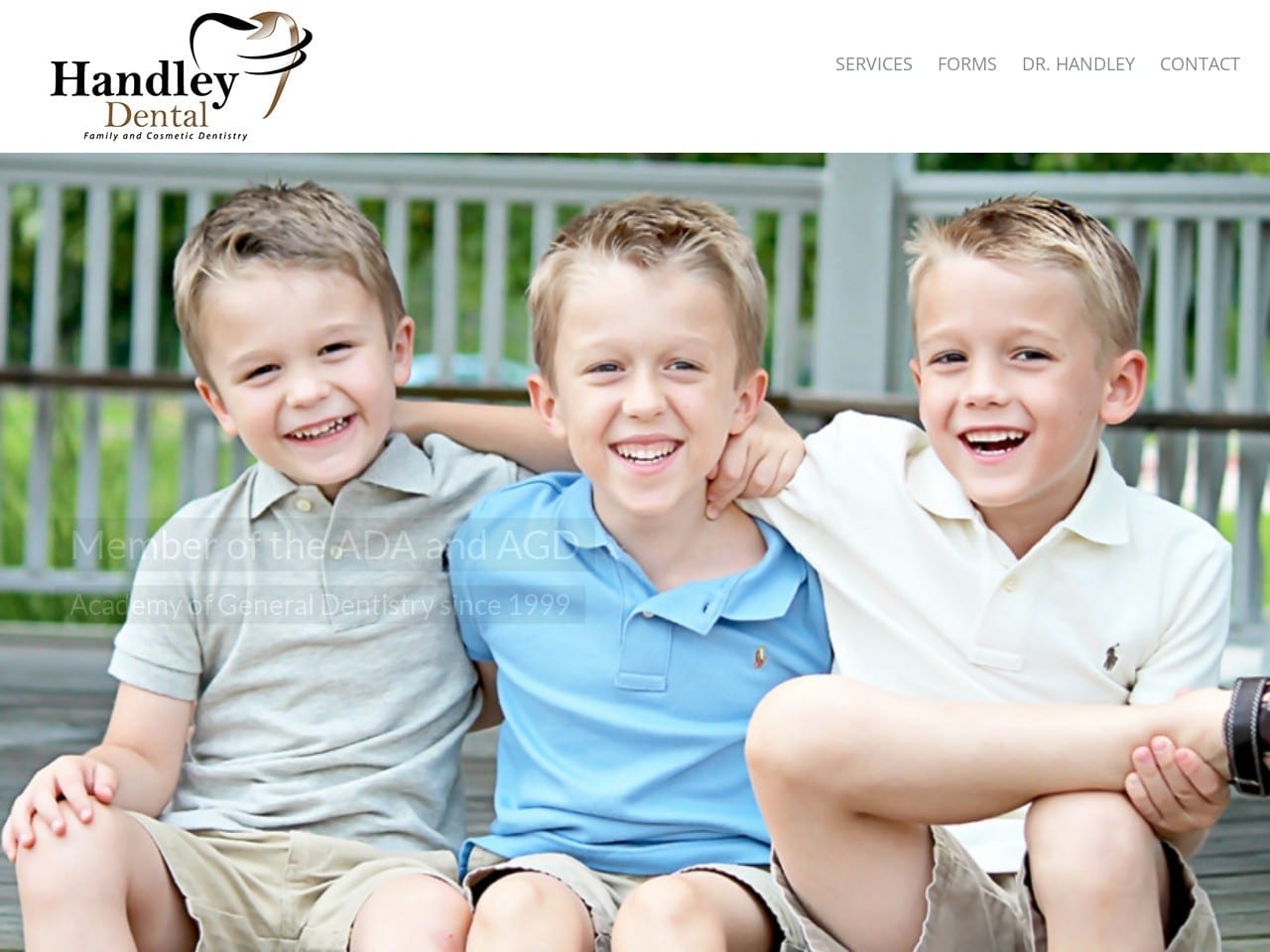 Handley Dental Website Screenshot from handleydental.com
