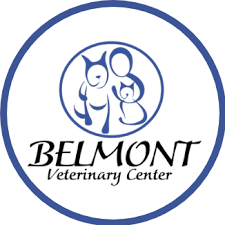 belmontvet.com logo
