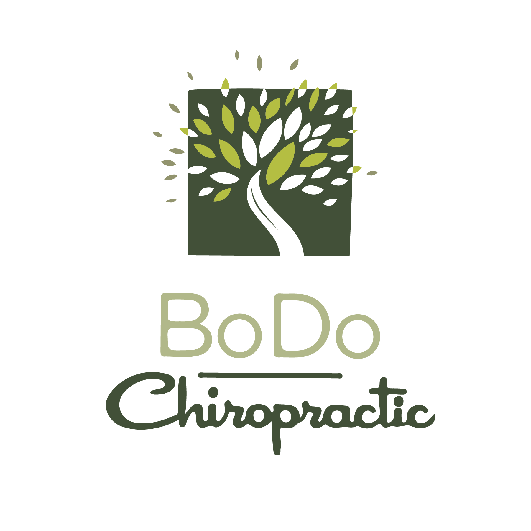 bodochiro.com logo