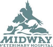 midwayvethospital.com logo