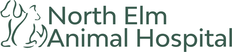 northelmanimalhospital.com logo