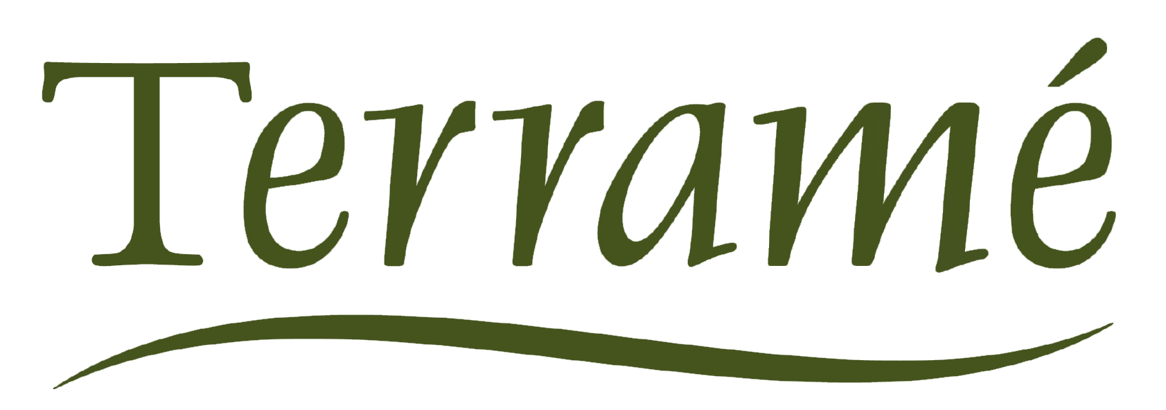 terrame.com logo
