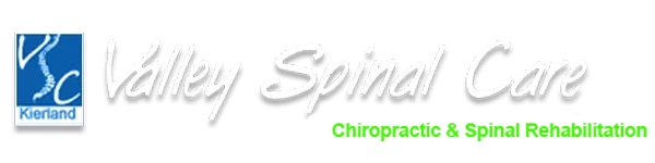 thescottsdalechiropractor.com logo