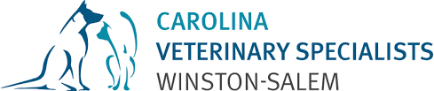 winston-salem.carolinavet.com logo